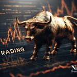Hindustan Copper Share Price